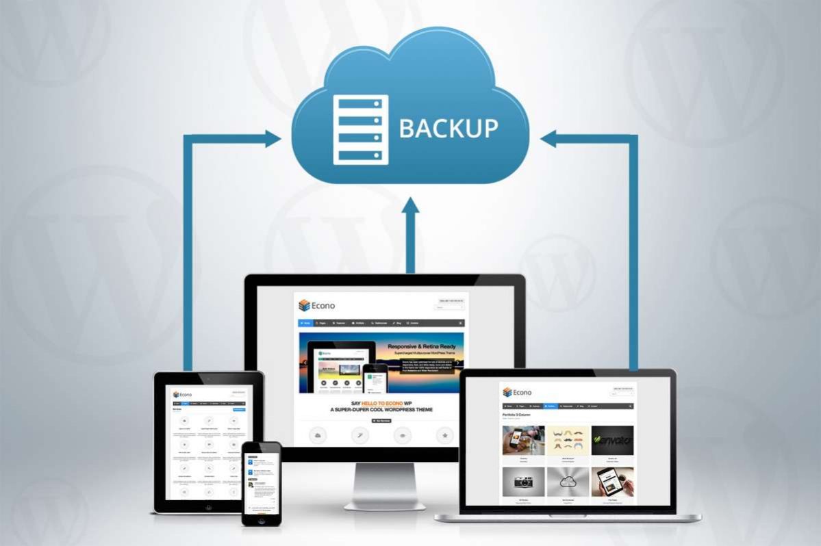 How to Backup website from cPanel ?